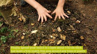 How To Make a Mulch Pile