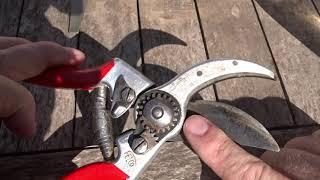 Sharpening secateurs 101