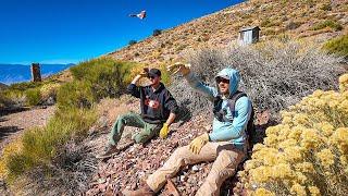 Building Check Dams at Ghost Town Living