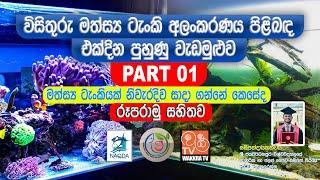 විසිතුරු මත්සය්‍ය ටැංකි අලංකරණය පිළිබඳ එක්දින පුහුණු වැඩමුළුව | Part 01