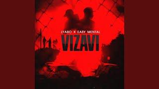 VIZAVI