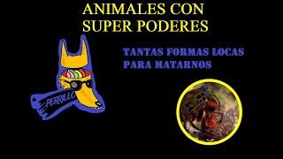 Animales con super poderes | Ep 8 | CULTURA COLMILLUDA