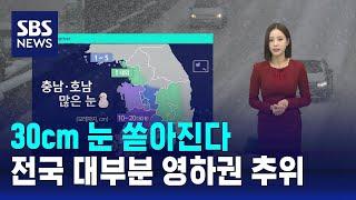 [날씨] 30cm 눈 쏟아진다…전국 대부분 영하권 추위 / SBS