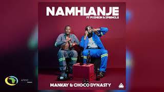 Mankay & Choco Dynasty - Namhlanje [Feat. Pushkin RSA and Springle] (Official Audio)