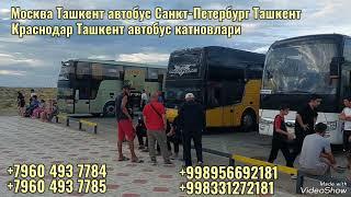 Москва Ташкент автобус 2024 | Санкт-Петербург Ташкент автобус