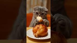 Cute CAT Cooking Crispy Chicken! So Funny!