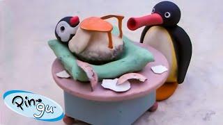 Pingu's Little Sister, Pinga  | Pingu - Official Channel | Cartoons For Kids