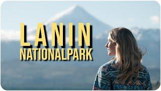 Why does nobody knows this place in PATAGONIA? • LANIN National Park Vlog