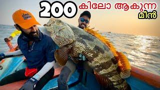 ചൂണ്ടയിൽ പിടിച്ചത് 200 കിലോ ആകുന്ന മീൻ | Giant grouper catch and cook Kerala style