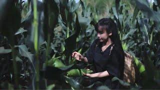 [Lý Tử Thất TV] Hái bắp về xay làm bánh | Vietsub