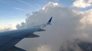 United Airlines Full Flight | Washington - Tampa | Boeing 737-800