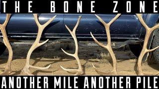 New Mexico shed hunting 2024 | Elk Sheds | Mile for the Pile