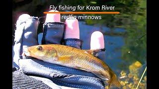 Fly fishing for Krom River redfin minnows