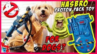 Hasbro Ghostbusters proton pack TOY and proton blaster for DOGS? unboxing , custom,  Afterlife