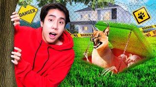 $1 VS $10,000 SECRET ROOM FOR MY CARACAL!!!