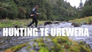 Hunting Te Urewera