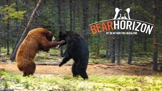 Traditional Wilderness | Saskatchewan Bear Hunt | Bear Horizon