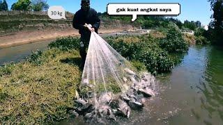 VIRAL ...!!! JALA IKAN DI TAIWAN SATU KALI TEBAR 30 kg 