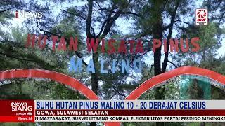 Menjelajah Indahnya Hutan Pinus Malino di Kab. Gowa, Sulawesi Selatan #iNewsSiang 30/10