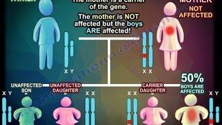 X Linked Recessive Inheritance - Everything You Need To Know - Dr. Nabil Ebraheim