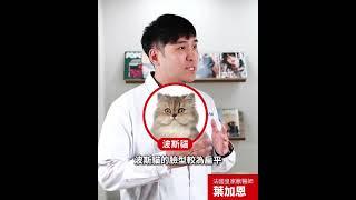 【醫起聊聊】為什麼飼料顆粒要這樣設計？讓專業獸醫告訴你答案！