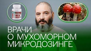 ВРАЧИ-ПСИХОТЕРАПЕВТЫ о Мухоморном микродозинге "Red Micro"™. Микродозинг мухомора. Михаил Вишневский