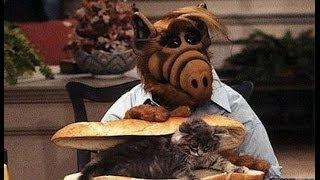 Serienkritik: ALF