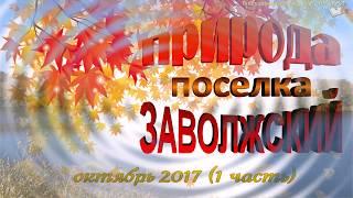 Природа поселка ЗАВОЛЖСКИЙ (1 часть)
