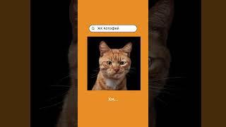 Как «Корней» ищут в поиске #корней #тюмень #новостройки #новостройкитюмени