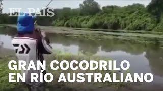 Un enorme COCODRILO sorprende a dos PESCADORES en AUSTRALIA