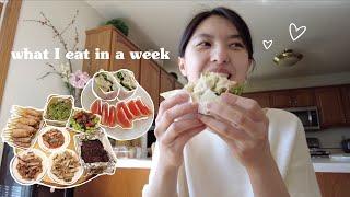 What I eat in a week • Ordinary days in my STEM research job