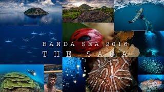 Banda sea 2016 | The Saga