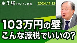 誰のための減税か～103万円の壁の意味【金子勝の言いたい放題】20241112