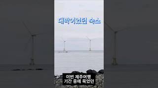 제주 가면 꼭 가야 할 대박적인 인생숙소! /가격포함/서쪽벳디/팜파스호텔