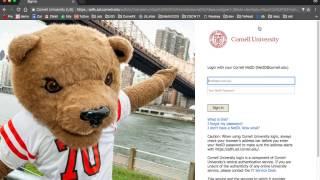 Logging into RichReview using Cornell NetID