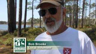 NWF volunteers lend hand at Topsail Hill Preserve State Park