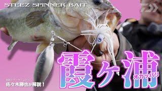 DAIWA 実釣ルアーマニュアル　スティーズスピナーベイト(STEEZ SPINNER BAIT)佐々木勝也