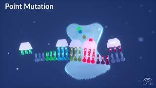 Difference Between Point and Frameshift Mutations  | Central Principles of Molecular Biology