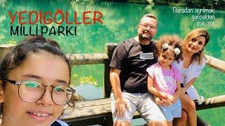 Yedigöller Milli Parkı // Bolu