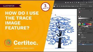 How do I use the trace image feature