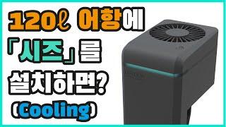 두자 광폭 (120리터) 어항에 일렉쿠아 시즈(seize)를 설치하면? [냉각]