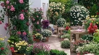 40 Best Garden ideas design and style For 2023