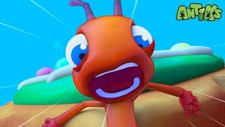 Cookie Rookies | ANTIKS Cartoons | Funny Insects for Kids