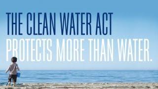 The Clean Water Act Protects More Than Water