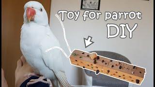 How to Make Foraging Bird Toy | DIY