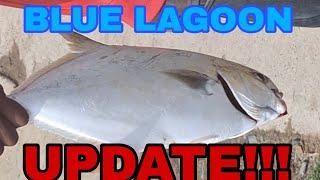 BLUE LAGOON UPDATE SOUTH AFRICA DURBAN