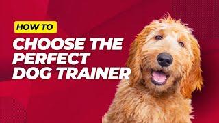 How to Choose a Professional Dog Trainer  | Dog Works Radio