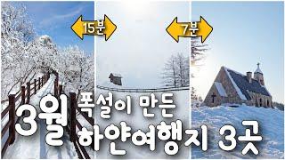 [25.3.7 방문] "서로 10분 전후의 거리" 평창 여행지 3곳 | 실버벨교회, 발왕산, 대관령 양떼목장｜강원도여행, 겨울여행, 평창여행｜#발왕산 #대관령양떼목장 #실버벨교회