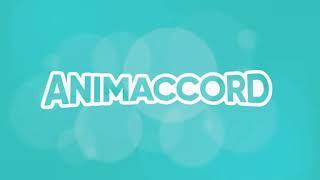 Animaccord Logo (2022-present) (Long Version)