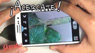 Cómo Hacer un Lente Macro para Celular - Tips Fotografía